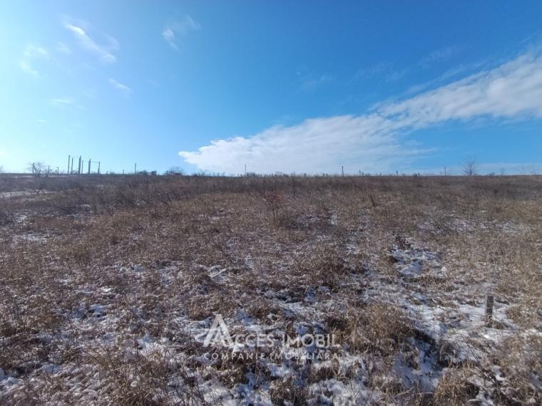 Teren pentru construcție 10 ari! Nimoreni, str. Castanilor!: 0