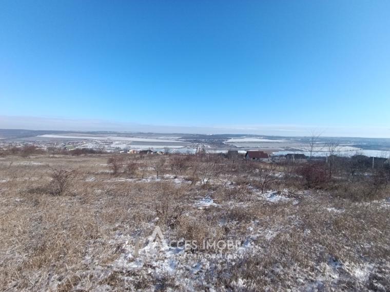 Teren pentru construcție 10 ari! Nimoreni, str. Castanilor!: 1