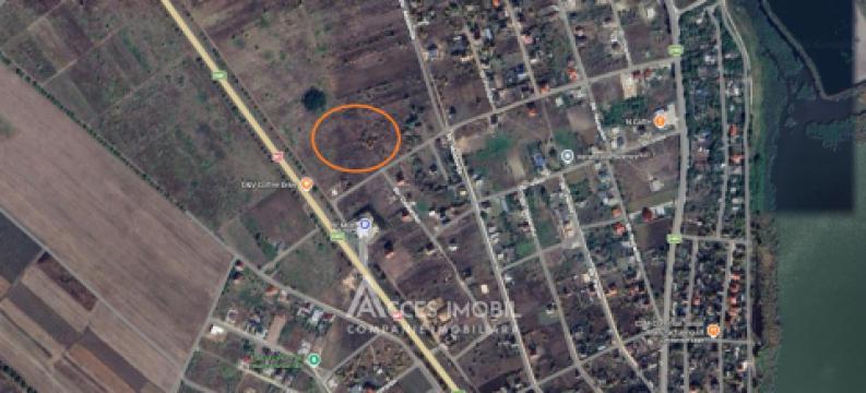 Teren pentru construcție 10 ari! Nimoreni, str. Castanilor!: 6