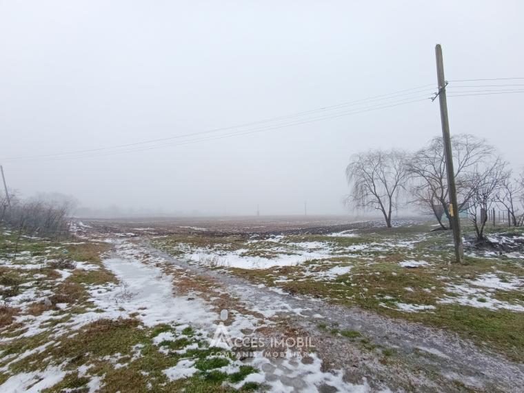 Lot de teren agricol 100 ari! Băcioi, str. Independenței!: 1