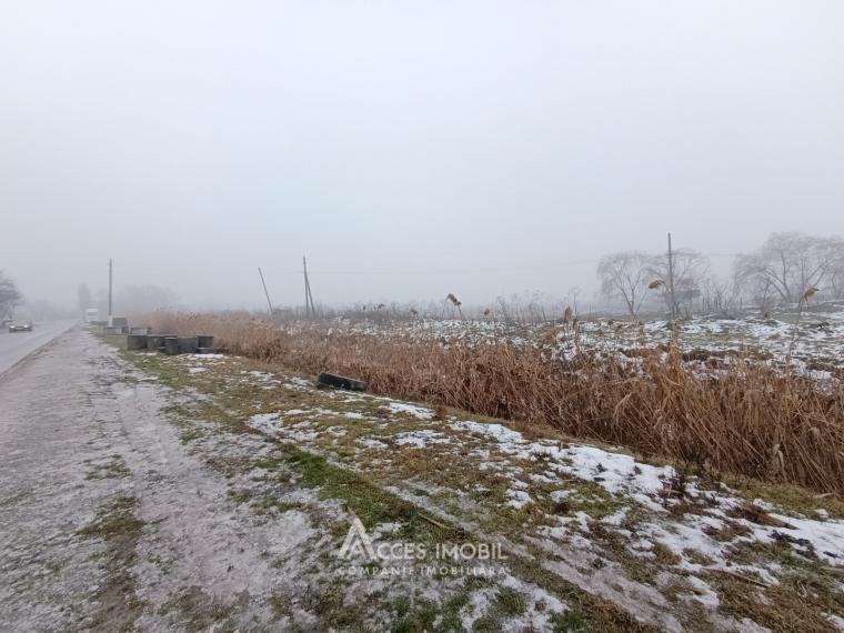 Lot de teren agricol 100 ari! Băcioi, str. Independenței!: 2