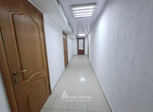 Chirie! Spațiu Comercial, 120m2, Poșta Veche, str. Grădinarilor!: 8