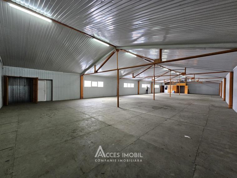 Spațiu Comercial! Ciocana, str. Otovasca 392m2!: 2