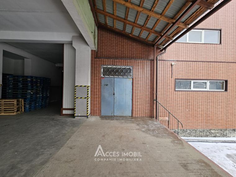 Spațiu Comercial! Ciocana, str. Otovasca 392m2!: 7