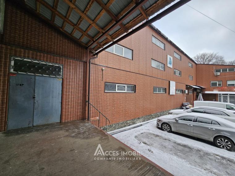 Spațiu Comercial! Ciocana, str. Otovasca 392m2!: 8