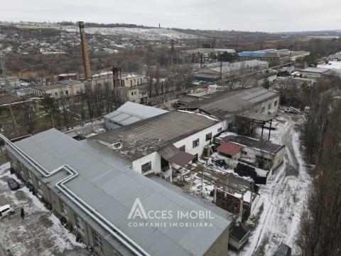 Коммерческое помещение, 1022м2! Ботаника, ул. Мунчешти!: 10