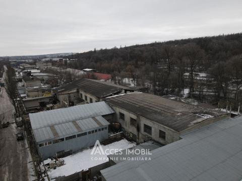 Коммерческое помещение, 1022м2! Ботаника, ул. Мунчешти!: 15