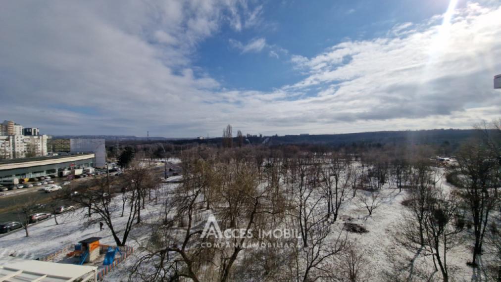 Botanica, bd. Dacia, 1 cameră + living! Euroreparație!: 10