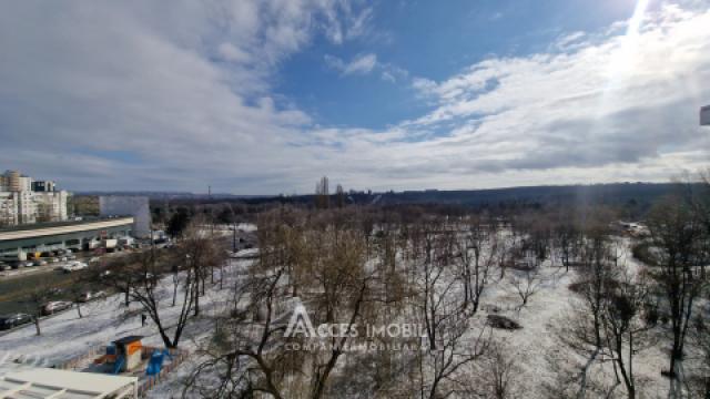 Botanica, bd. Dacia, 1 cameră + living! Euroreparație!: 10