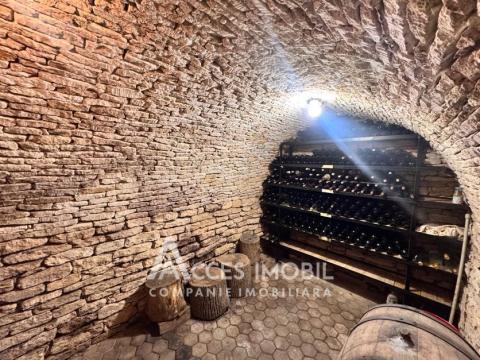 Duplex în 3 nivele! Cojușna, str. Chișinăului, 220m2 +  5 ari! Încălzire autonomă!: 10