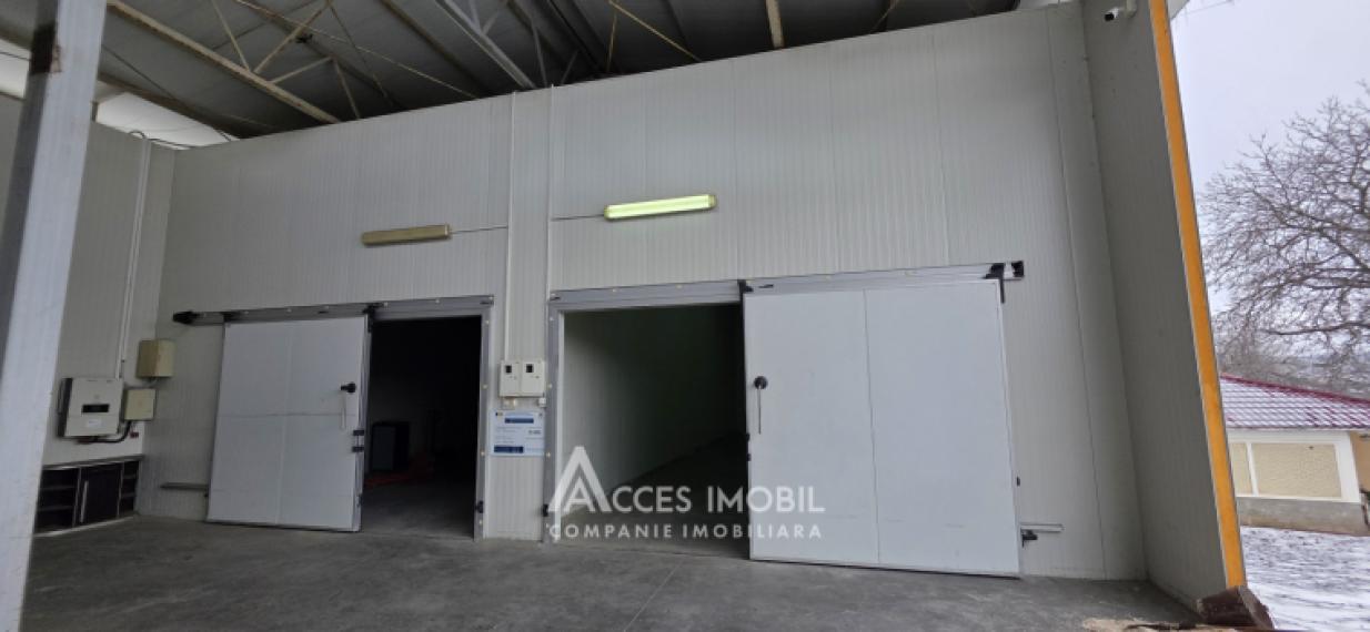 Spațiu Comercial, 208m2 + 15 ari! Colonița, str. Ștefan cel Mare! Încălzire autonomă!: 1