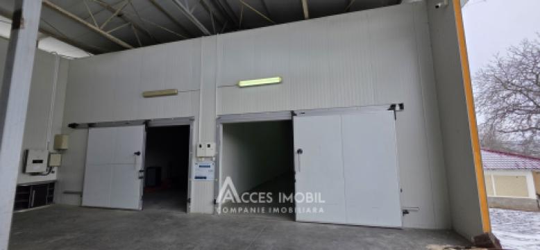 Spațiu Comercial, 208m2 + 15 ari! Colonița, str. Ștefan cel Mare! Încălzire autonomă!: 1