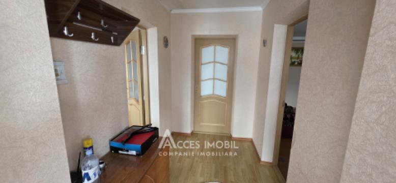 Spațiu Comercial, 208m2 + 15 ari! Colonița, str. Ștefan cel Mare! Încălzire autonomă!: 13