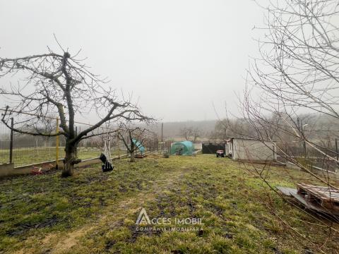 Casă în 2 niveluri! Valea Coloniței, str. Izvorului, 120m2 + 7 ari de teren adiacent! Euroreparație!: 25