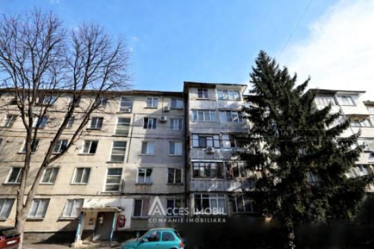 Рышкановка, ул. Мирон Костин, 2 комнаты. АВТОНОМНОЕ!: 7