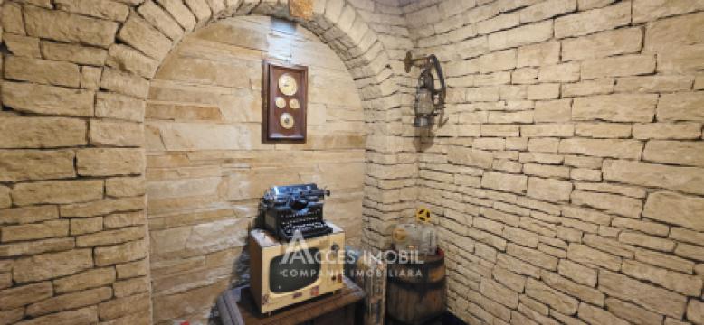 2-х этажный Дом! Ставчены, ул. Mихаил Фрунзе, 500м2 + 6 соток!  Премиум ремонт!: 23