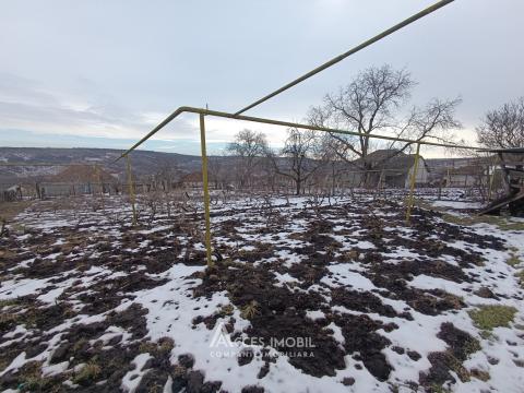 : Mileștii Mici, str. Petru Rareș