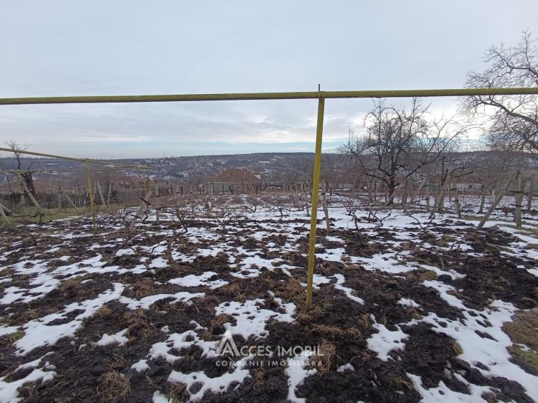 Teren pentru construcție, 12 ari! str. Petru Rareș, Mileștii Mici!: 1