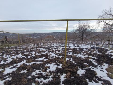 Teren pentru construcție, 12 ari! str. Petru Rareș, Mileștii Mici!: 1