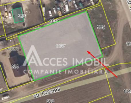 Teren pentru construcții, 19,5 ari! Hâncești, str. Dobreni!: 5