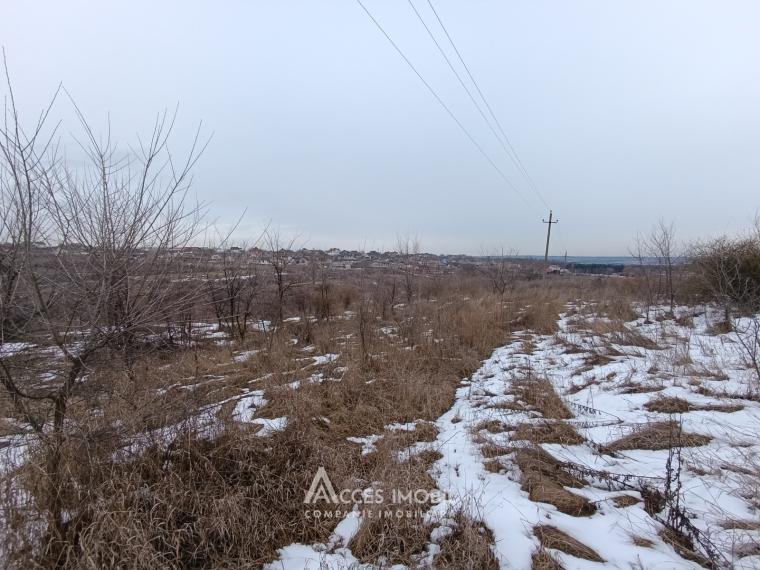 Lot de teren agricol, 32 ari! Mileștii Mici, str. Viilor!: 0