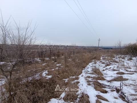 : Mileștii Mici, str. Viilor