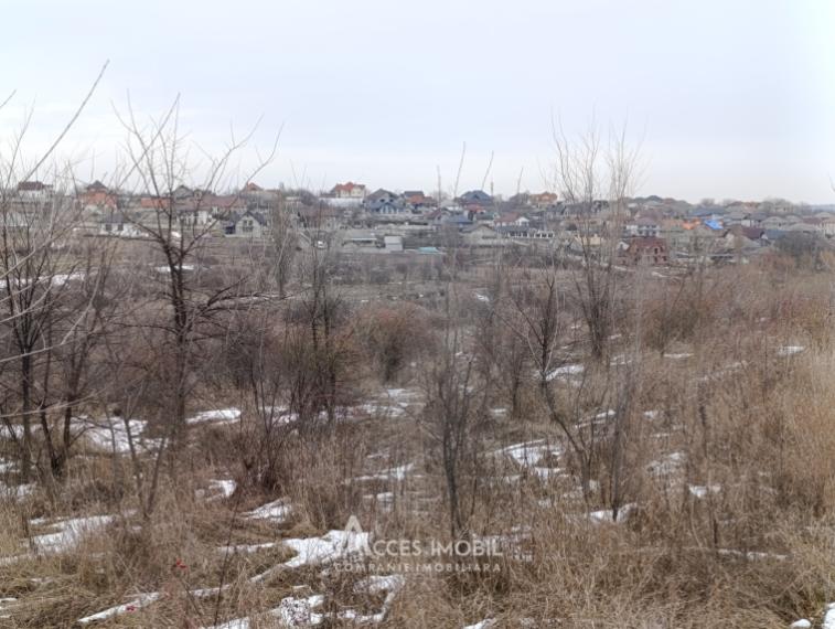 Lot de teren agricol, 32 ari! Mileștii Mici, str. Viilor!: 1