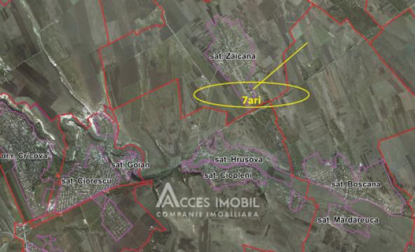 Teren pentru construcții 7 ari! Zăicana, str. Ștefan cel Mare!: 6