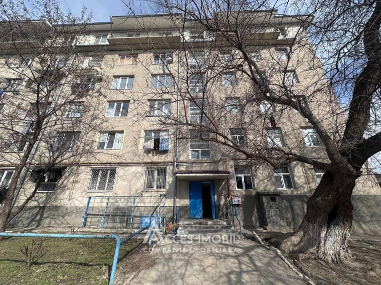 Botanica, str. Burebista, o cameră! De mijloc! Euroreparație!: 5