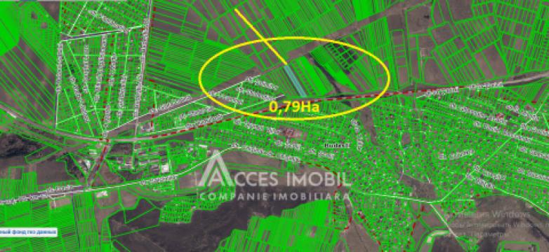 Teren agricol, M14, 79 ari. Budești!: 4