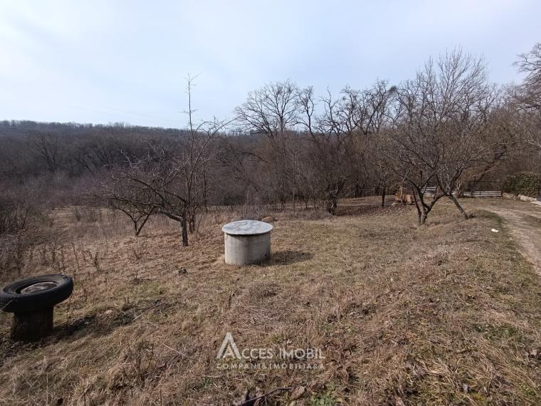 Lot de teren pomicol, 6 ari! Trușeni!: 0