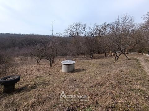 Terenuri de vânzare în Chișinău: Trușeni str. 2