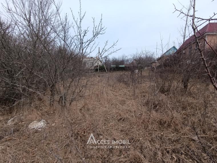 Lot de teren pomicol, 6 ari! Trușeni!: 1