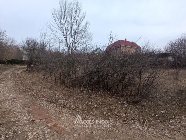 Lot de teren pomicol, 6 ari! Trușeni!: 2