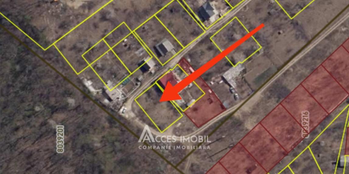 Lot de teren pomicol, 6 ari! Trușeni!: 3