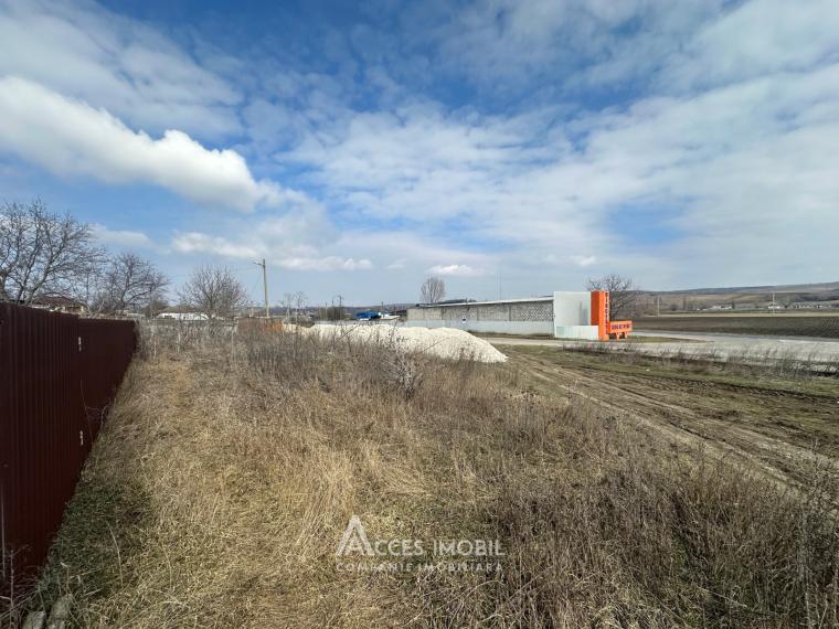 Teren pentru construcții, 19,5 ari! Hâncești, str. Dobreni!: 8