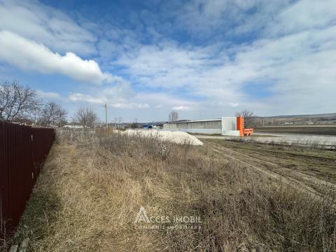 Teren pentru construcții, 19,5 ari! Hâncești, str. Dobreni!: 8