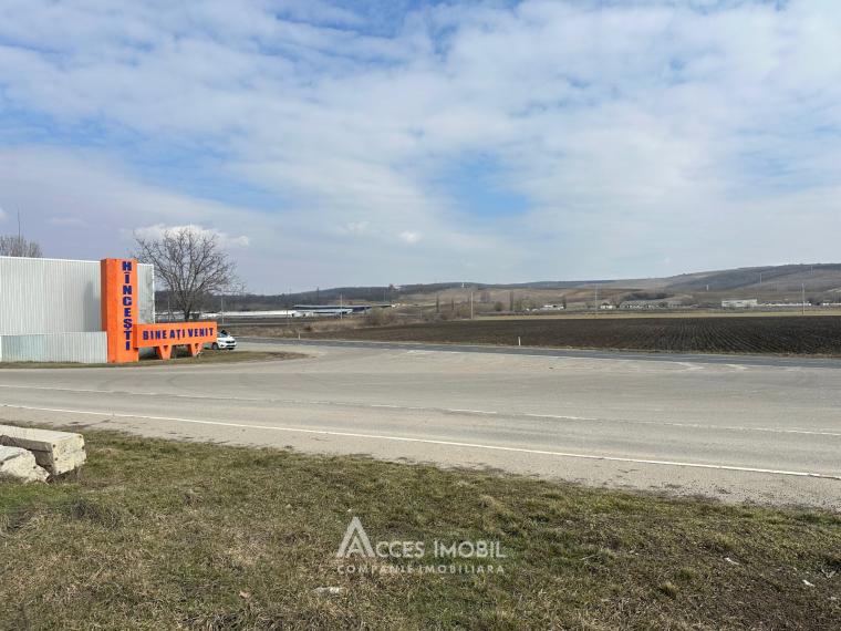 Teren pentru construcții, 19,5 ari! Hâncești, str. Dobreni!: 9