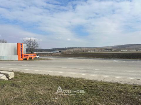 Teren pentru construcții, 19,5 ari! Hâncești, str. Dobreni!: 9