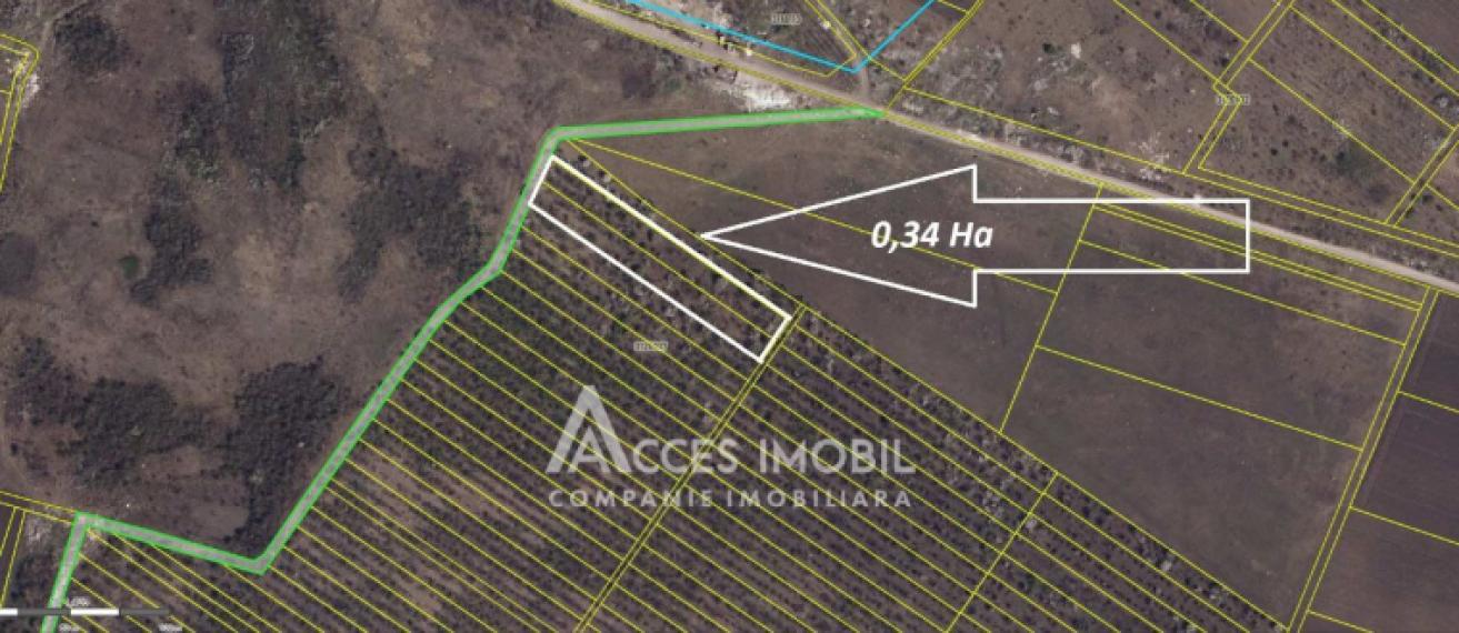 Teren agricol 34 ari! Budești, str. Extravilan!: 0