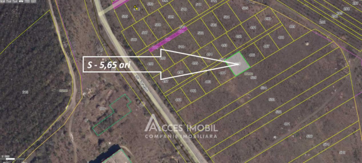Teren intravilan 6 ari. Colonița, str. Tohatin!: 1