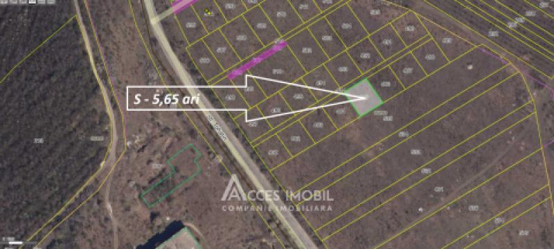 Teren intravilan 6 ari. Colonița, str. Tohatin!: 1