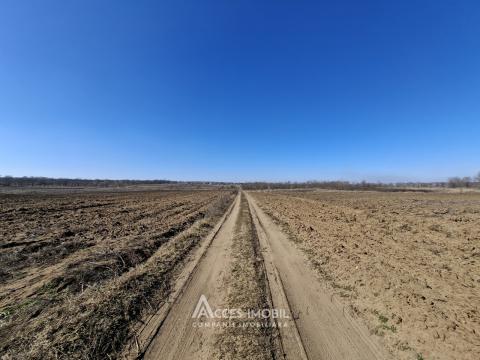 Teren pentru construcții 34 ari! Anenii Noi, sat. Chetrosu!: 2