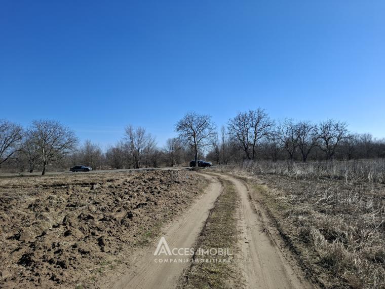 Teren pentru construcții 34 ari! Anenii Noi, sat. Chetrosu!: 3