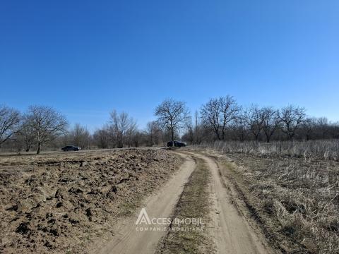 Teren pentru construcții 34 ari! Anenii Noi, sat. Chetrosu!: 3