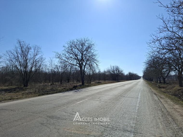 Teren pentru construcții 34 ari! Anenii Noi, sat. Chetrosu!: 1