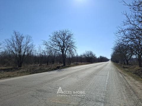 Teren pentru construcții 34 ari! Anenii Noi, sat. Chetrosu!: 1