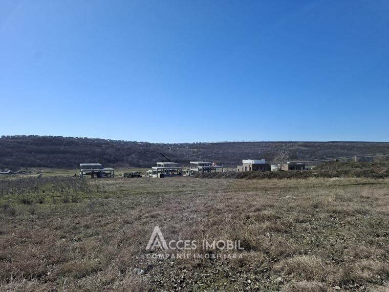 Земельный участок под строительство 7 сот! Тогатин, ул.Хайдучилор!: 0