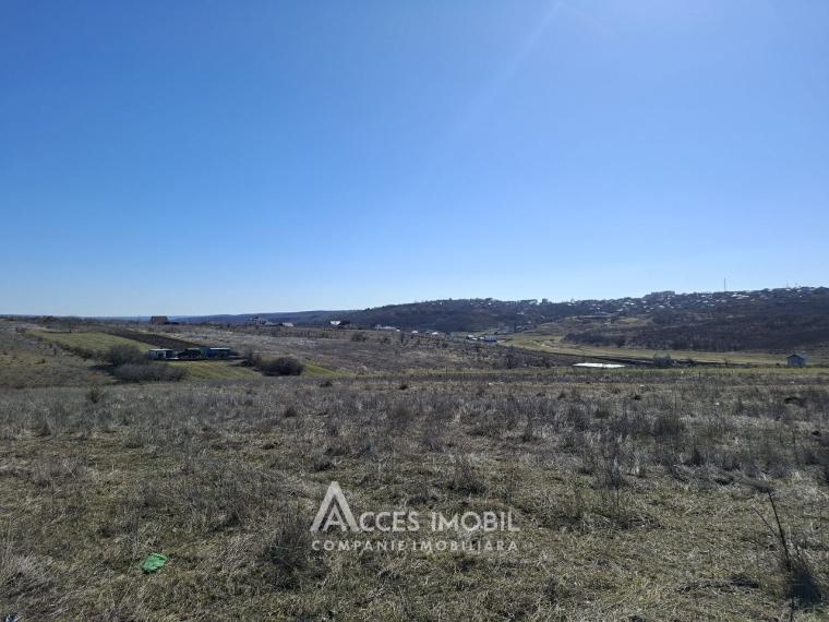 Земельный участок под строительство 7 сот! Тогатин, ул.Хайдучилор!: 1