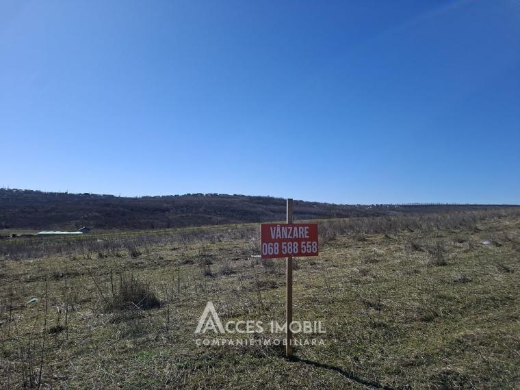 Земельный участок под строительство 7 сот! Тогатин, ул.Хайдучилор!: 2